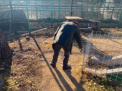 左前足滑り台と木の距離